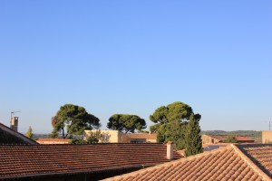 Utsikt från mitt murvielfönster