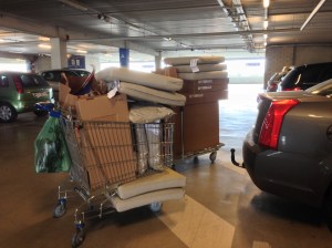 Dagens ikeaskörd...