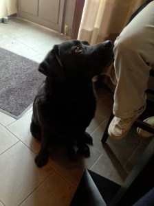 Vad äter du för nåt...?