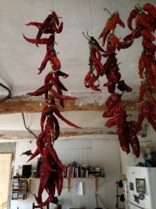 Egen skörd på tork