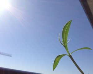 Tjena solen, är det där du är?!?