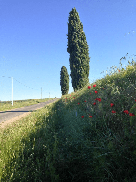 Skärmavbild 2013-05-22 kl. 22.38.00