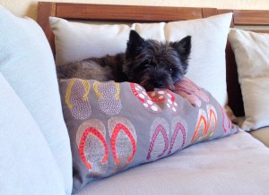 Wildas favoritplats - skugga men full uppsikt över ägorna