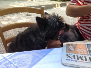 Hunden fick som vanligt ingenting...