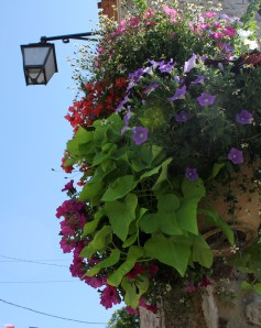 Fotograferade blomsterdekorationerna medan de vattnades. Blev blöt.