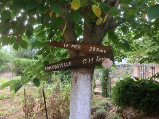 Vägen till Compostela går förbi Abbaye de Fontcaude. Vi gick varken till havet eller till Compostela.