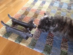 Nya kompisar, eller...?