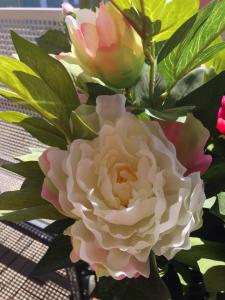 Ganska naturtrogna..