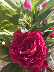 … fast de doftar inte så värst mycket