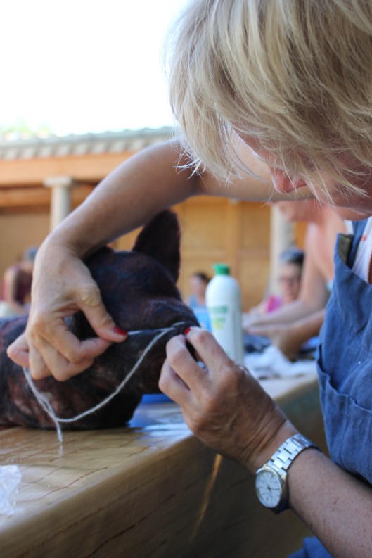 Hög skaderisk när nosen skall på plats