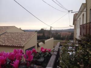 11005529_10153144505683420_2109628771_n-2