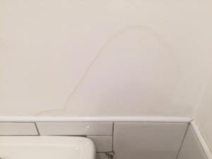 11666956_10153487959698420_1203727247_n