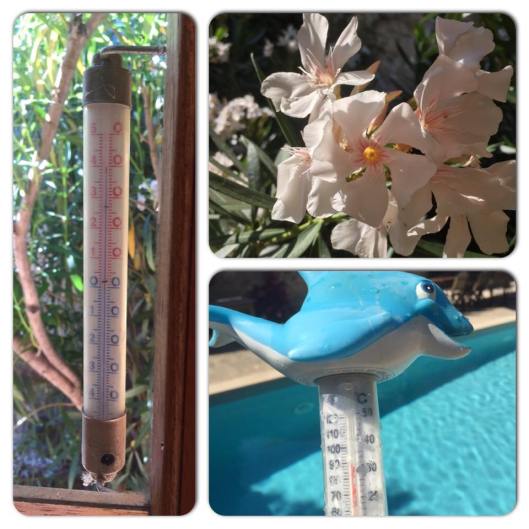 11694222_10153487960108420_1076138763_n