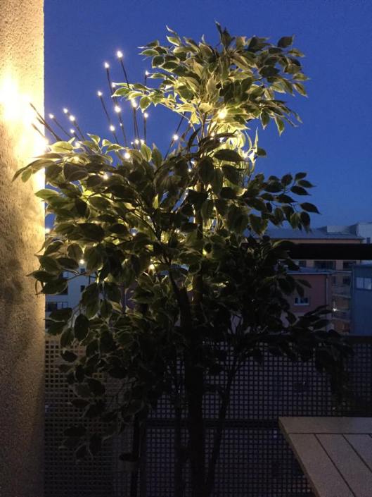 11696818_10153495324373420_1873161157_n