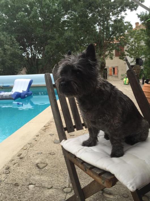 11739655_10153528059958420_901907305_n