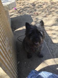 Svårt att hitta skugga på rastplatsen...