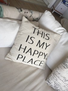 Kudden i den holländska soffan skulle passa bra här med