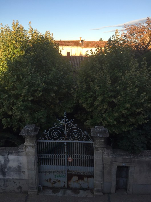 Trädgården bakom den gamla grinden är alldeles övervuxen