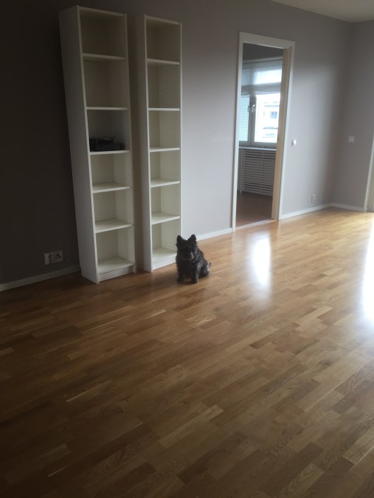 Var i hela friden är min soffa och min favoritfåtölj?!?