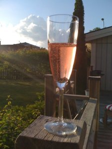 37448_438676843419_4259978_n