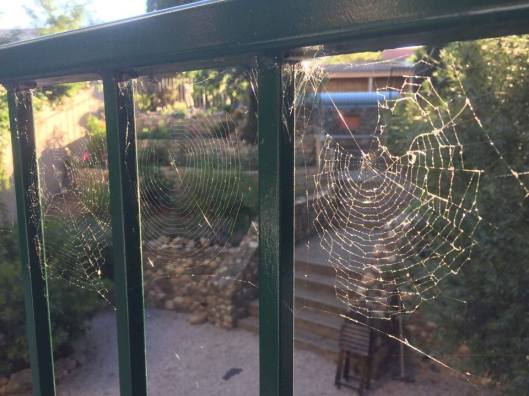 13689671_10154364530858420_609739311_n